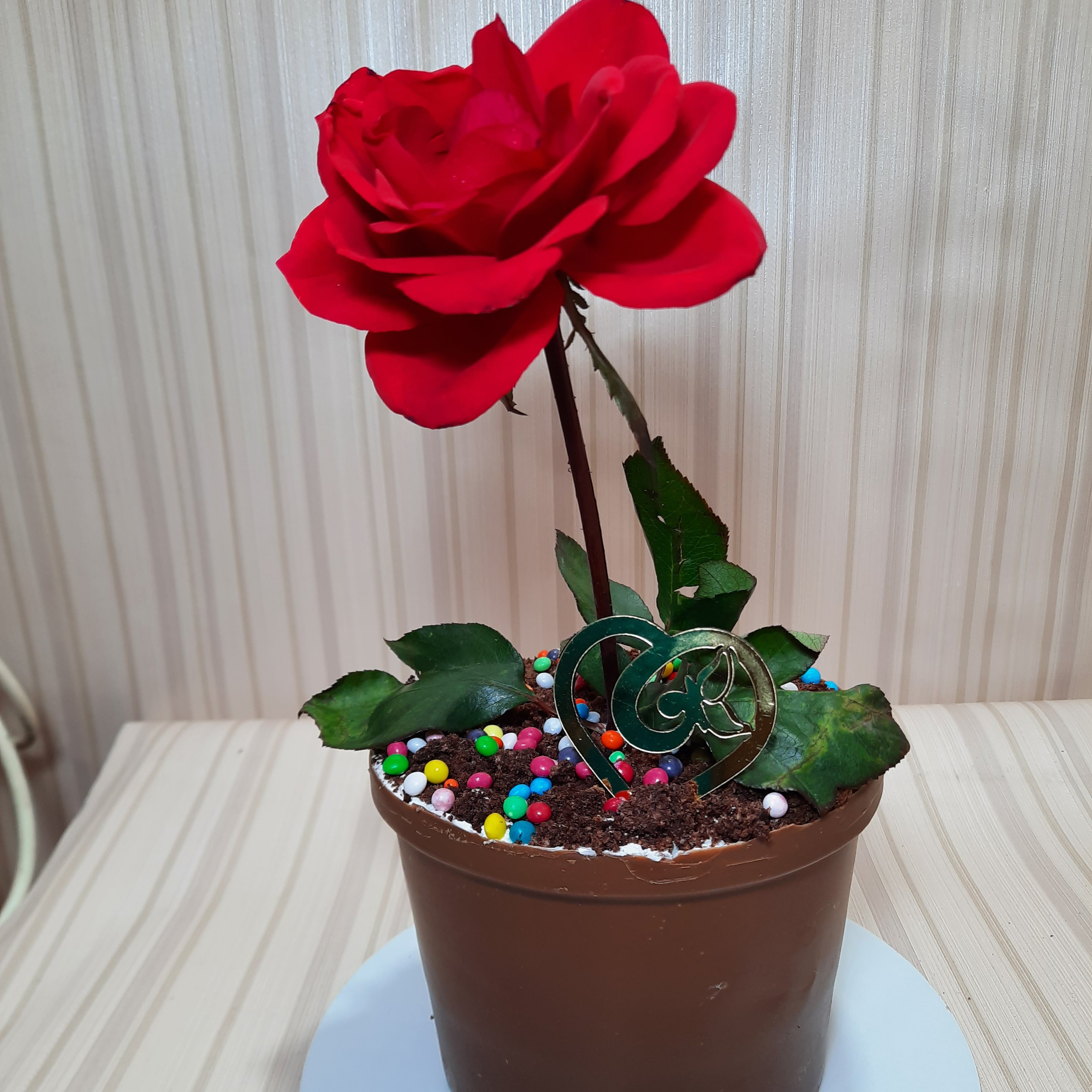 کیک گلدان رز باگل طبیعی شیک و زیبا