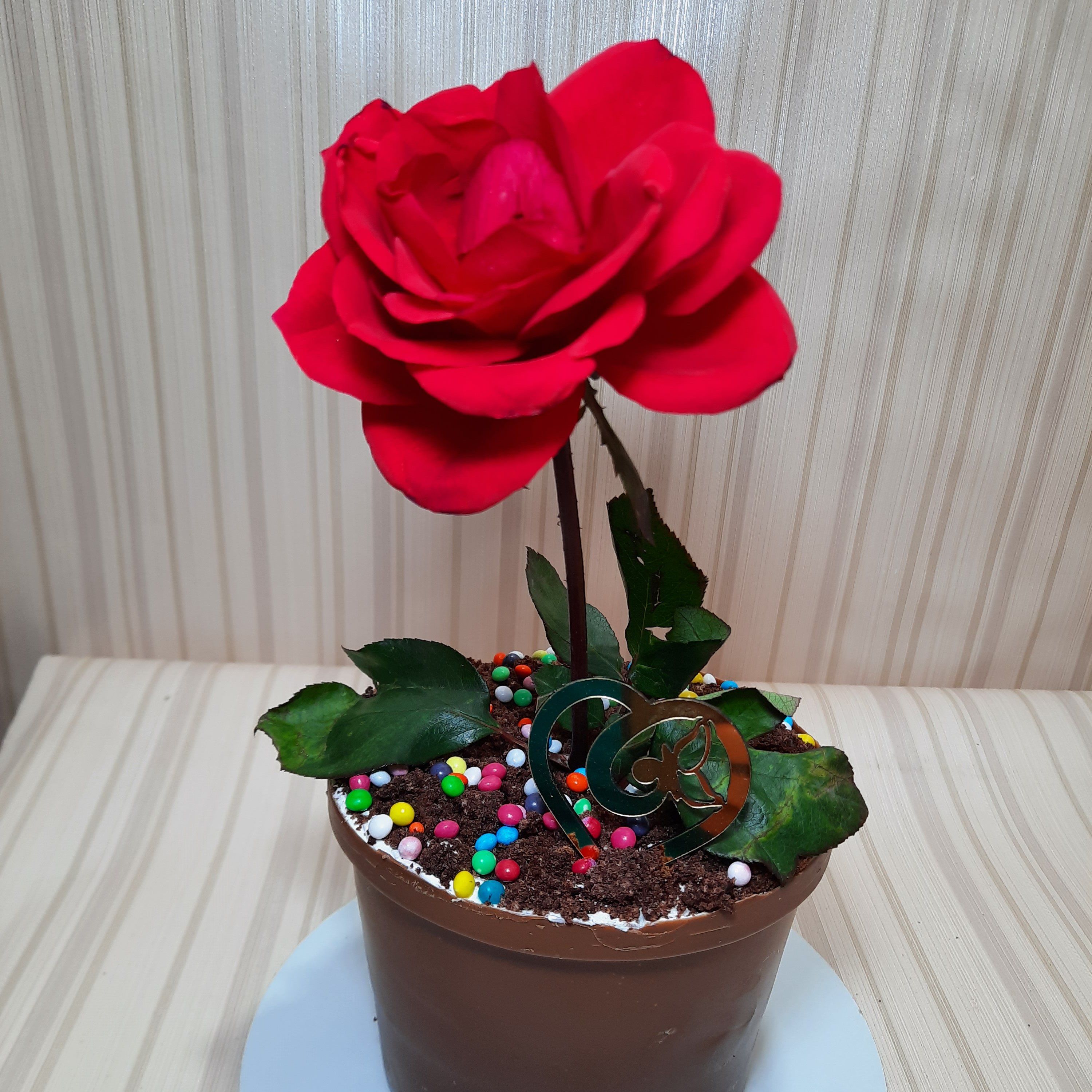 کیک گلدان رز باگل طبیعی شیک و زیبا