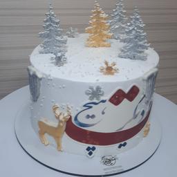 کیک زمستانی شیک و زیبا