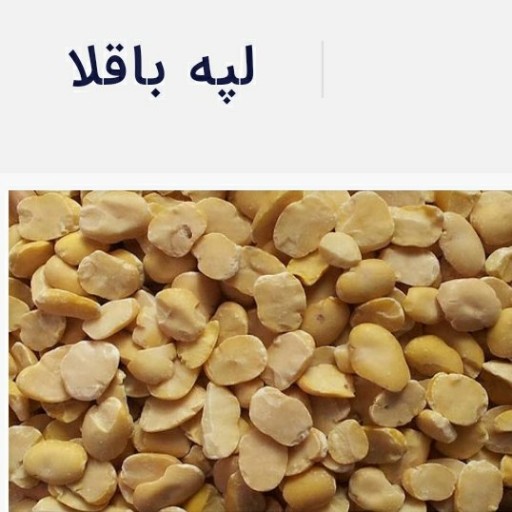 لپه باقلا ممتاز فدک (800گرم)