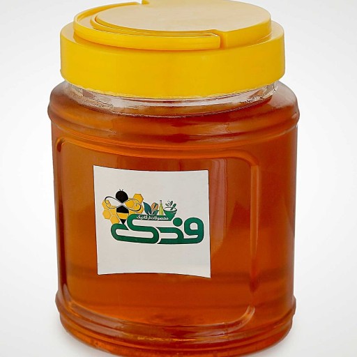 عسل طبیعی 5ستاره فدک (رس شده درمانی)