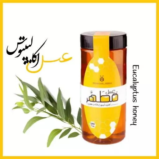 عسل یک کیلویی اکالیپتوس قم عسل نیم کیلویی اکالیپتوس قم 