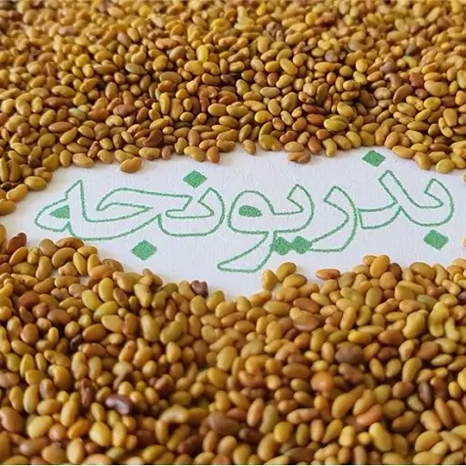 بذر یونجه 100 گرمی