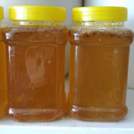 عسل صد در صد خالص و طبیعی