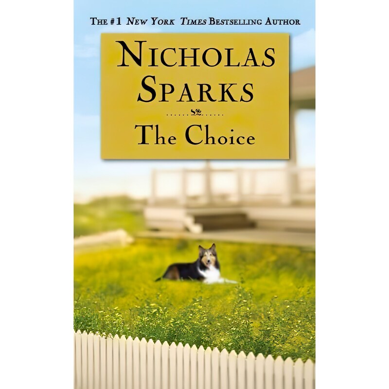 کتاب زبان اصلی The Choice اثر Nicholas Sparks انتشارات Vision