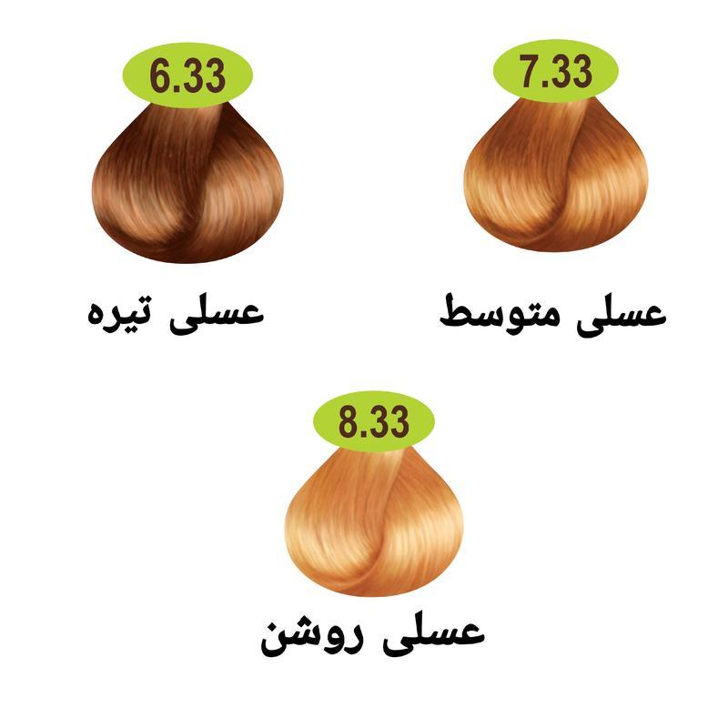 رنگ مو ماکادامیا سری عسلی 3 رنگ به همراه اکسیدان 6% یا 9%