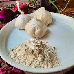 پودر سیر نوغانی خالص و معطر در بسته بندی 100 گرمی