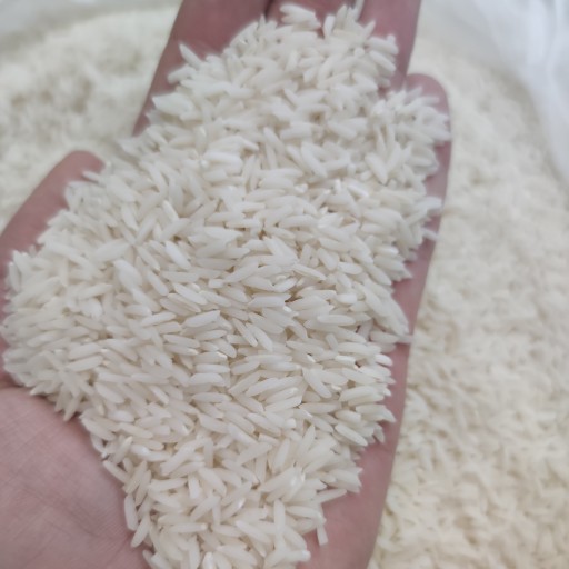 برنج طارم محلی(20کیلویی)