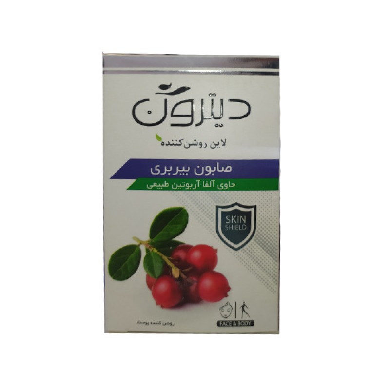 صابون شستشو دیترون مدل Bearberry وزن 110 گرم