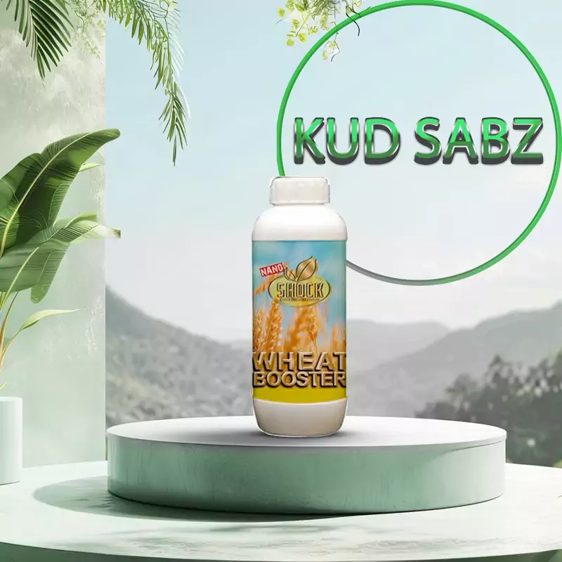 کود مخصوص گندم و جو مایع شوک 1لیتری اصل