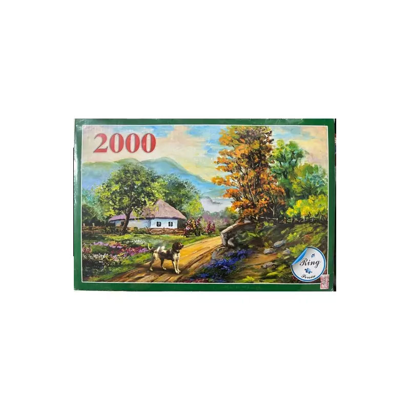 پازل 2000 تکه طرح ونیز رینگ کد: 20007