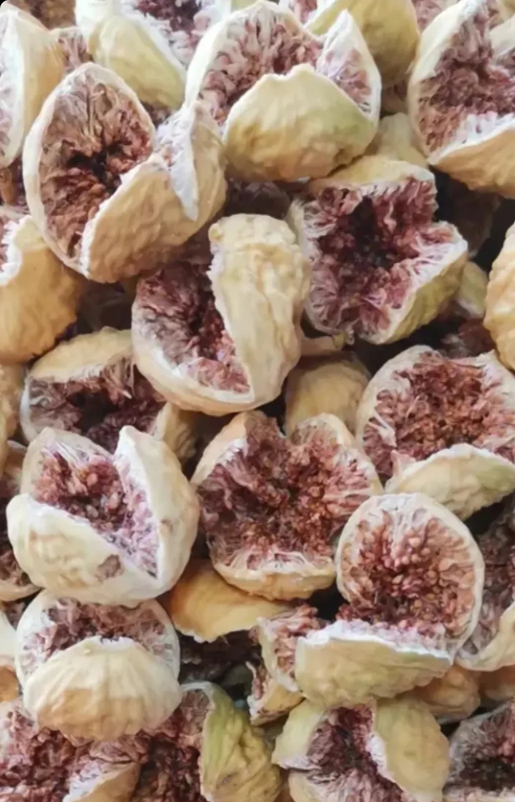 انجیر استهبان 