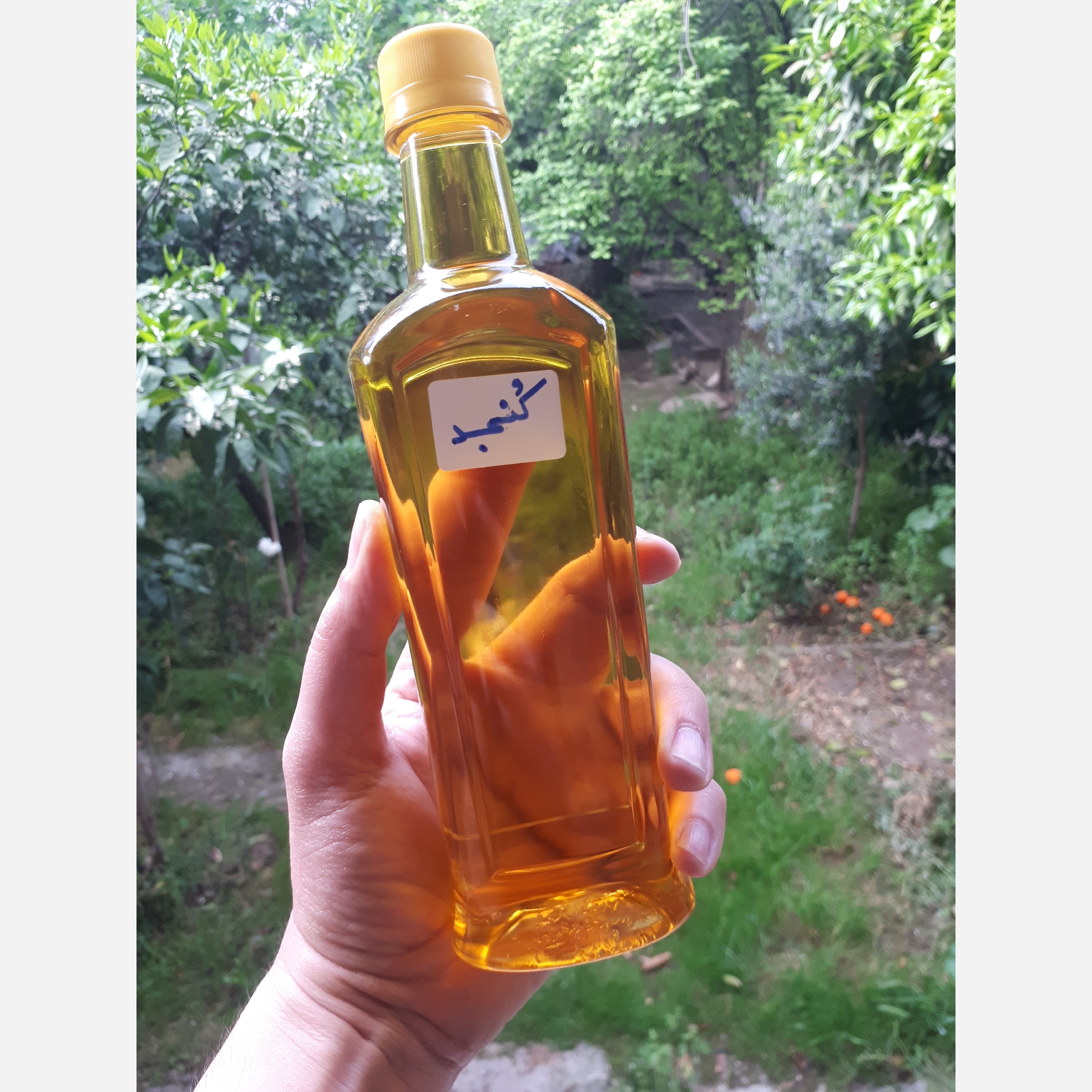 روغن کنجد فرابکر تازه نیم لیتری