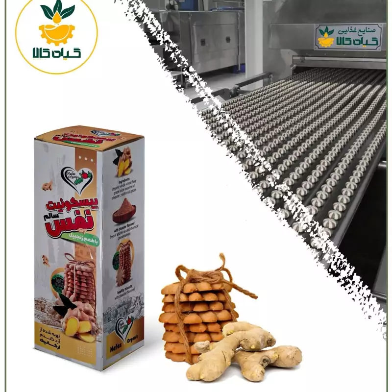 بیسکویت زنجبیلی طبیعی