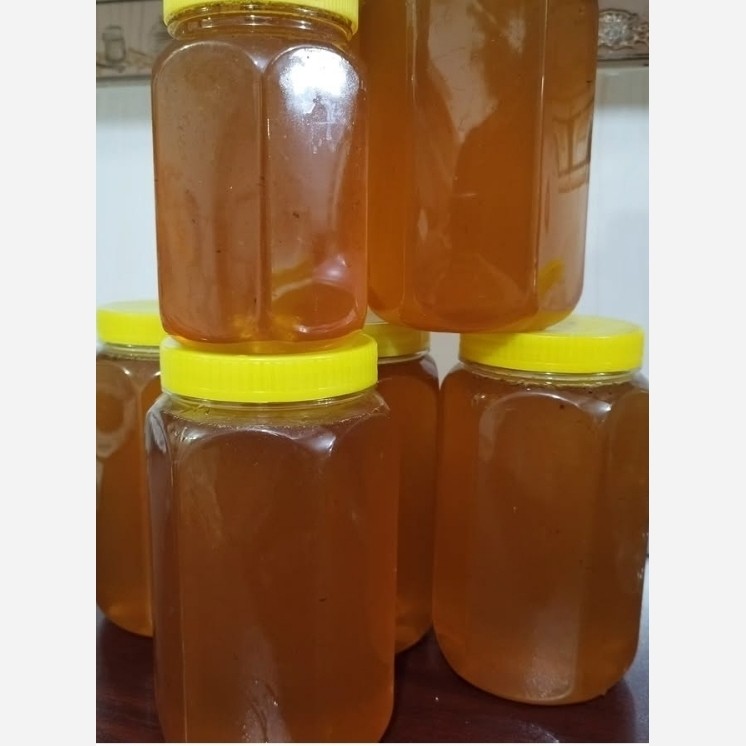 عسل مجود عسل ارگانیک از دل طبیعت لرستان