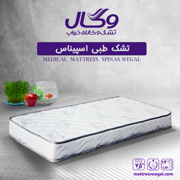 تشک وگال مدل طبی اسپیناس وگال