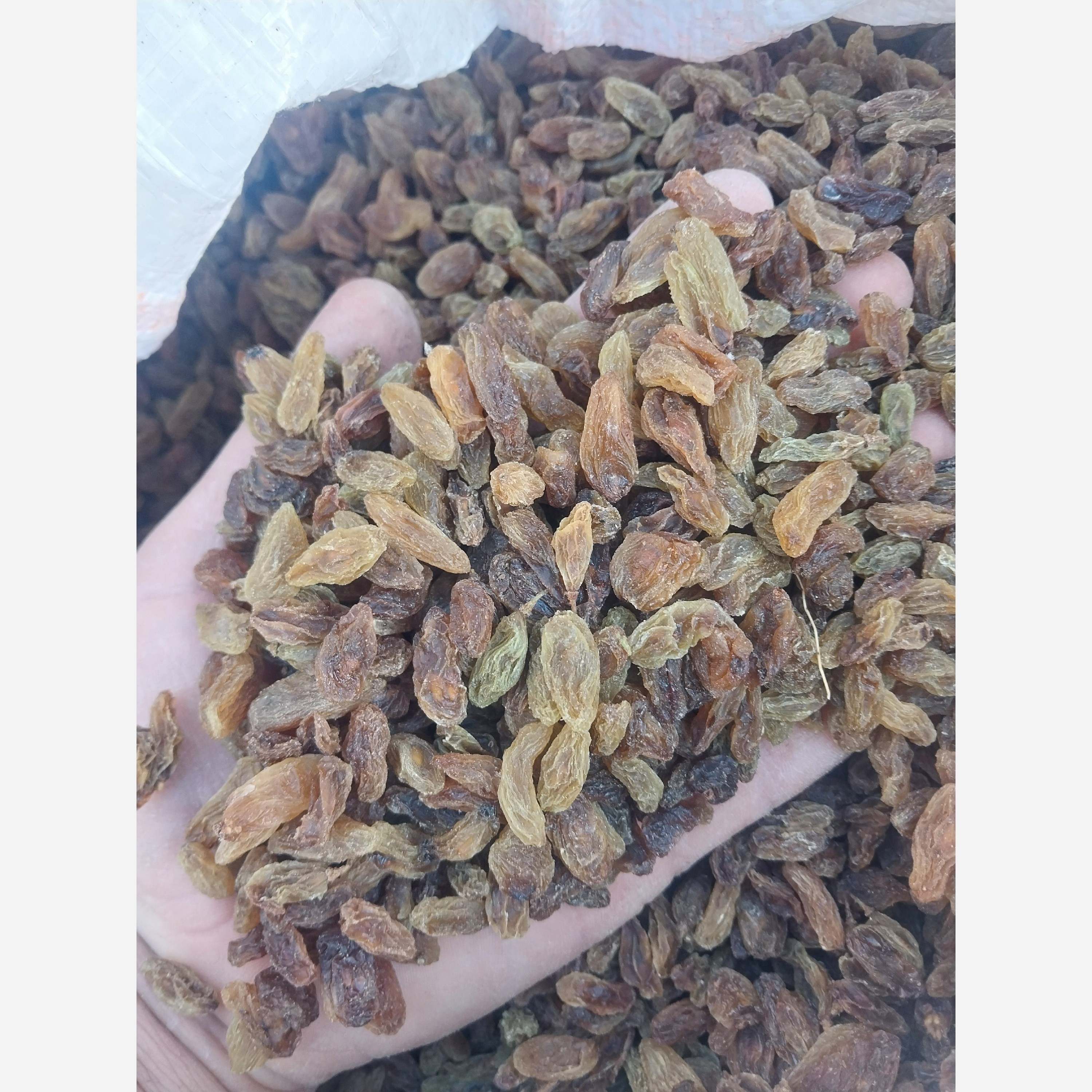 کشمش سایه خشک (وازد سبز)