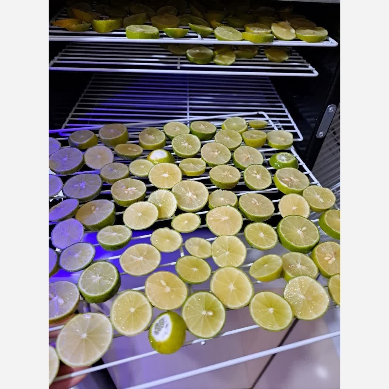 دستگاه های میوه خشک کن مدل T555 ورژن3 تراشه پرداز