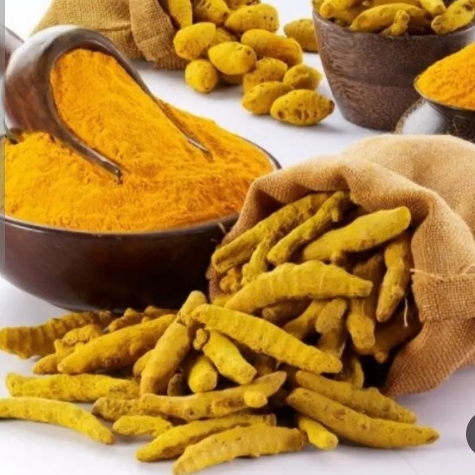 زردچوبه قلم ام تی سی