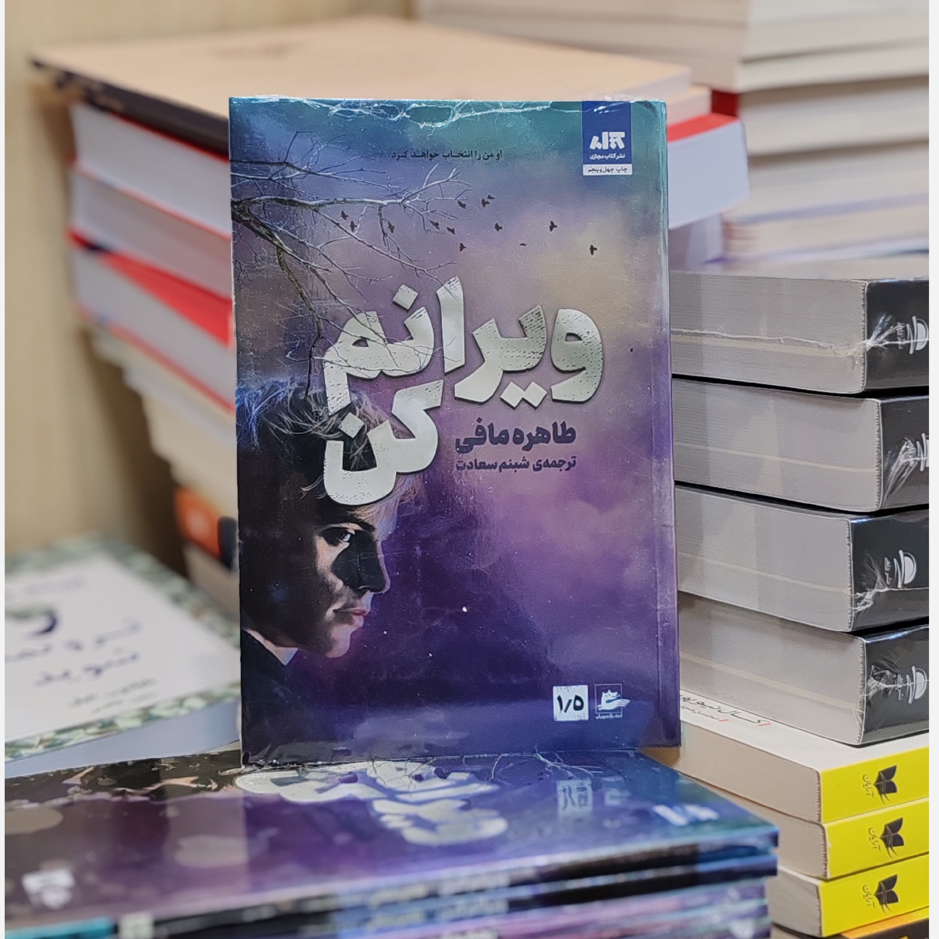 کتاب ویرانم کن اثر طاهره مافی مترجم شبنم سعادت از انتشارات مجازی