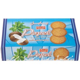 بیسکویت نارگیل شکری جعبه ای پاپل 240 گرمی شیرین عسل