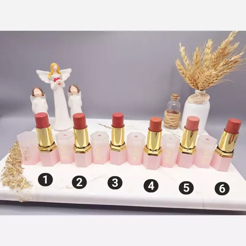 رژ گونه استیکی برند BLUSH