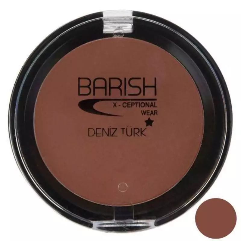 رژگونه ساده باریش کد 504