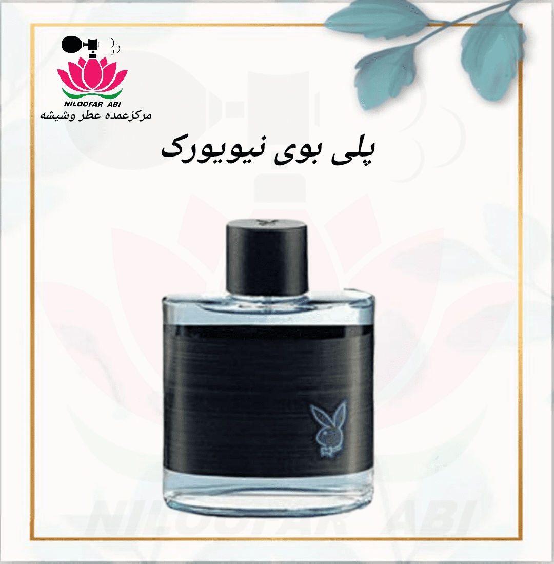 پلی بوی نیویورک (پس کرایه)