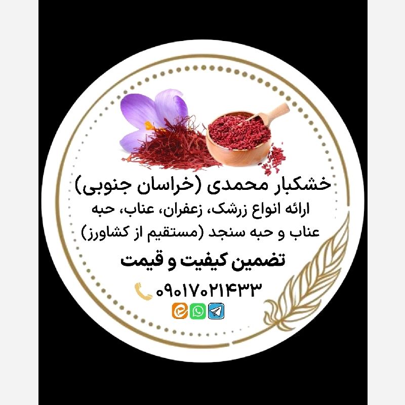 mohsen.m