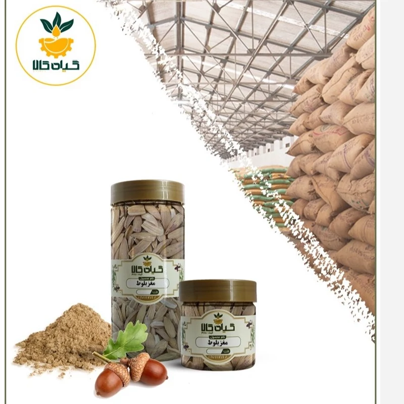 مغز بلوط خشک شده با کیفیت عالی، بار امسالی و تازه(250 گرمی  )