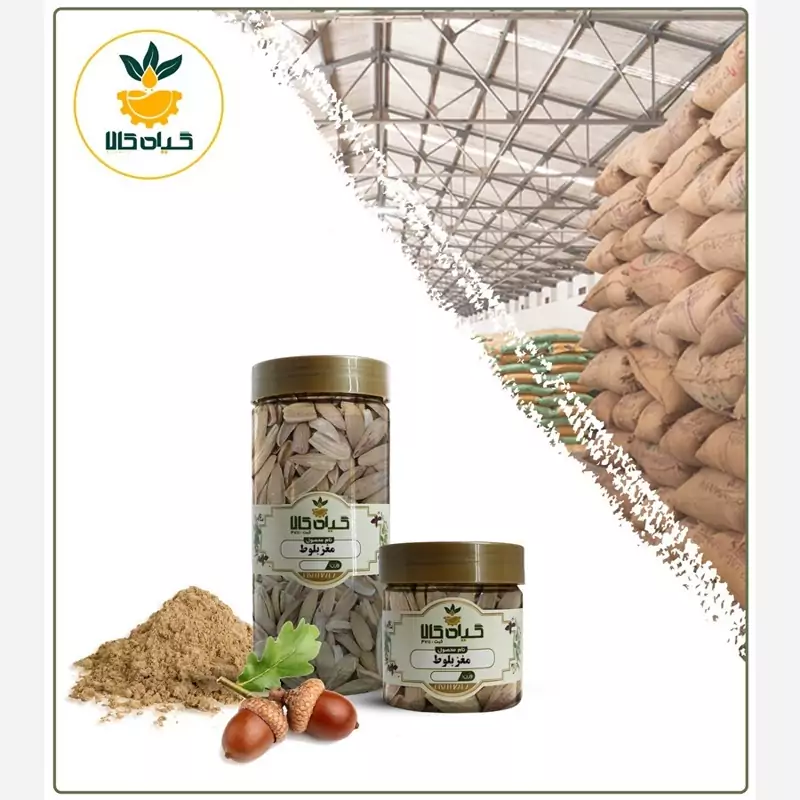 مغز بلوط خشک با کیفیت عالی، بار امسالی و تازه(1کیلوگرم )