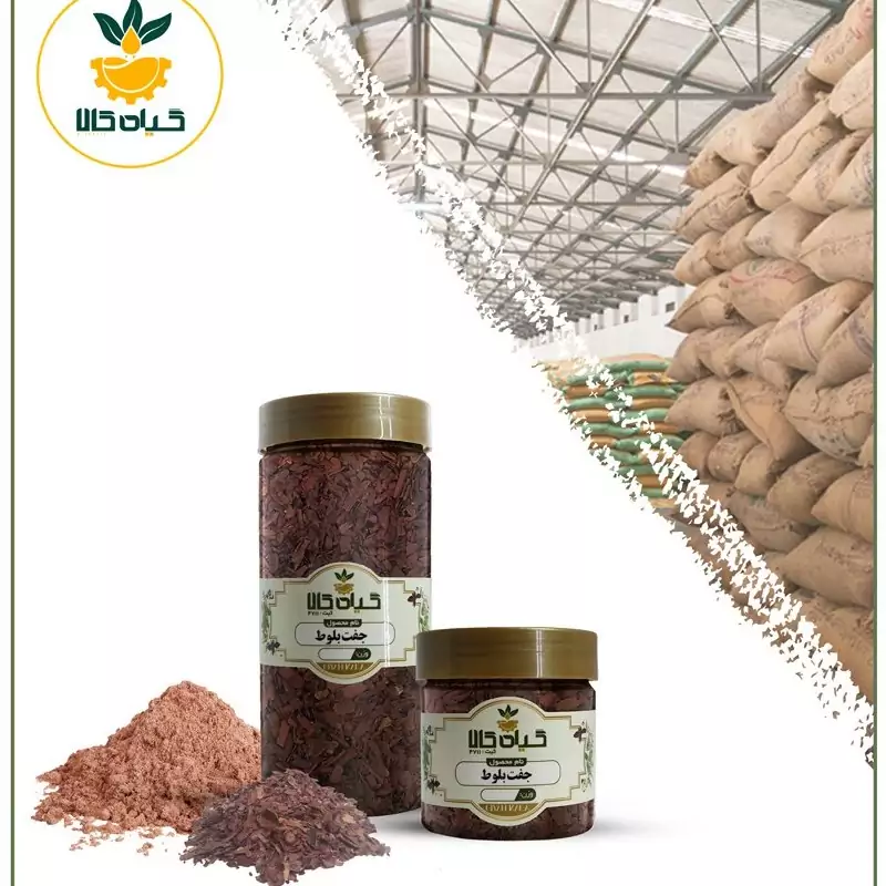 جفت بلوط، بار امسالی و تازه(1 کیلوگرم )