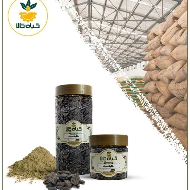 میوه هلیله سیاه با کیفیت عالی، بار امسالی و تازه(200گرمی )