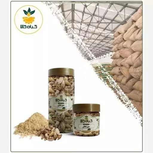 سورنجان خشک باکیفیت عالی، بار امسالی و تا(5کیلوگرم )