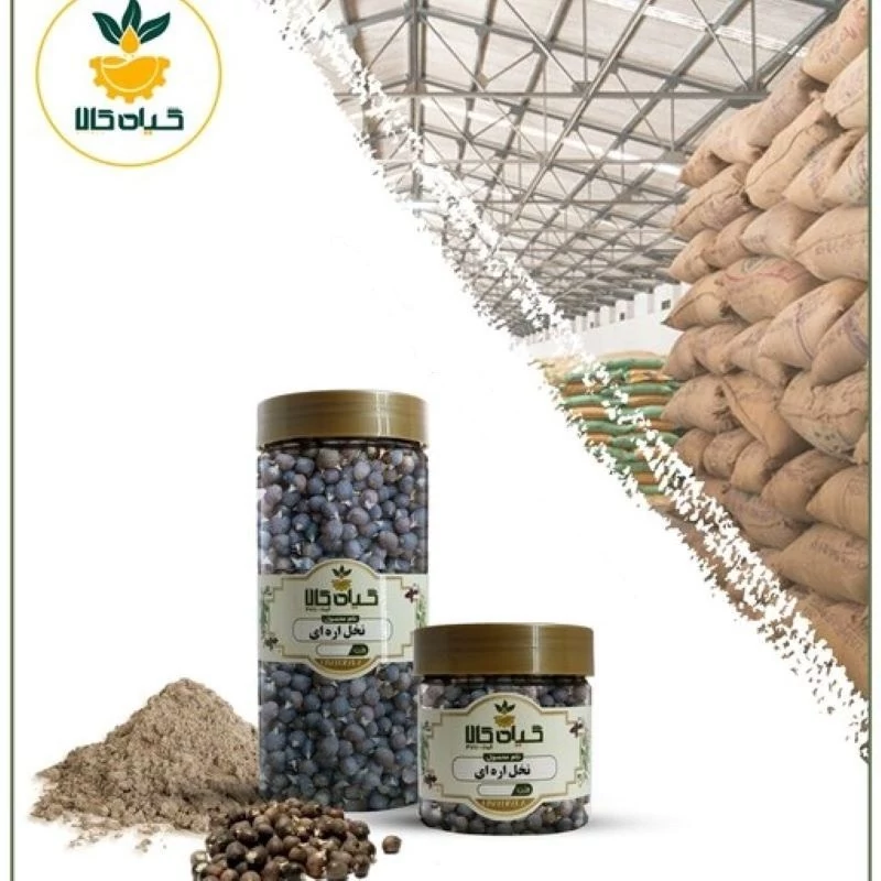 میوه نخل اره ای با کیفیت عالی، بار امسالی و تازه(50گرم)