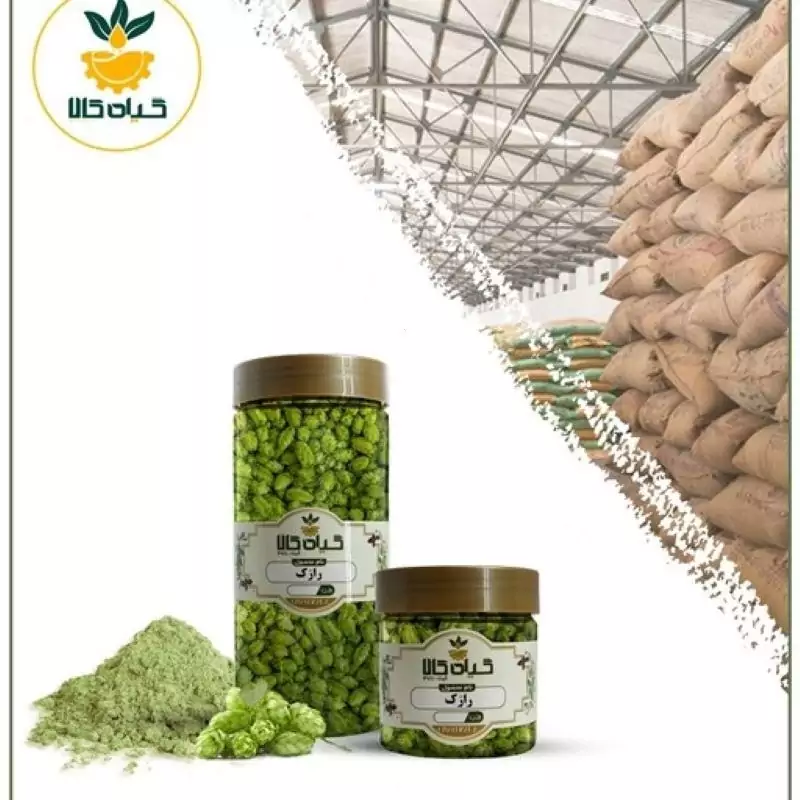 گیاه رازک با کیفیت عالی، بار امسالی و تازه(5کیلوگرم)