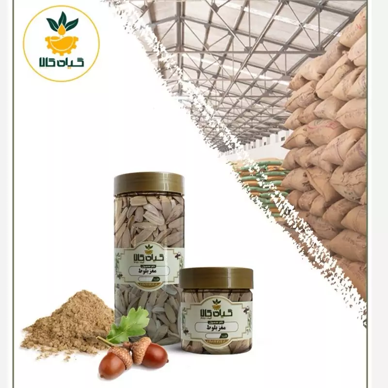 مغز بلوط خشک شده پودر شده با کیفیت عالی، بار امسالی و تازه(250 گرمی )