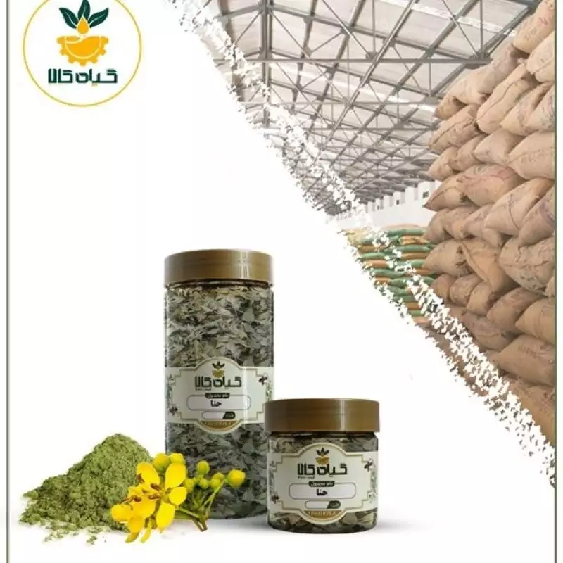 پودر گیاه حنا با کیفیت عالی، بار امسالی و تازه(2کیلوگرم)