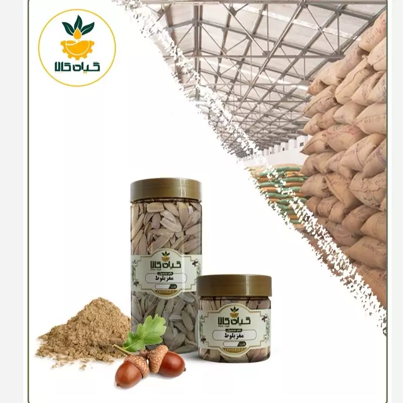 مغز بلوط خشک پود شده با کیفیت عالی، بار امسالی و تازه(100 گرمی  )
