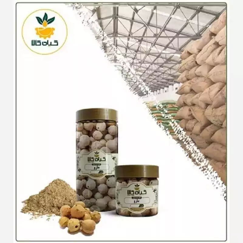 میوه مازو پودر شده با کیفیت عالی، بار امسالی و تازه(100گرمی )