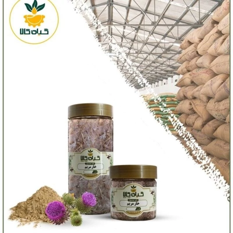 گیاه خار مریم با کیفیت عالی، بار امسالی و تازه(50 گرمی )