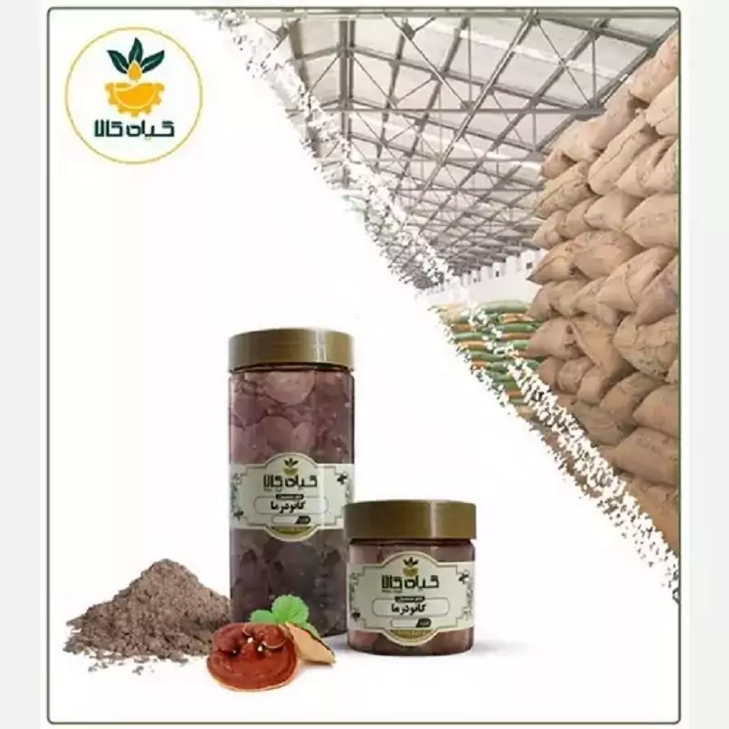 قارچ گانودرما با کیفیت عالی، بار امسالی و تازه(250گرمی )