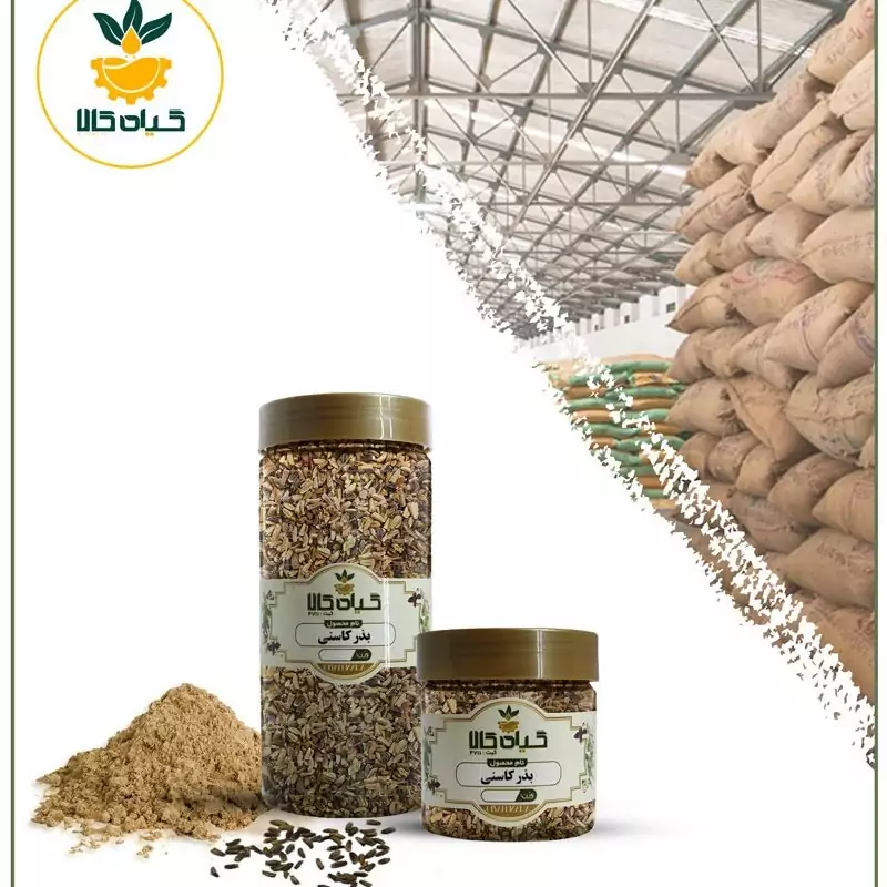 بذر کاسنی، بار امسالی و تازه(250گرمی)