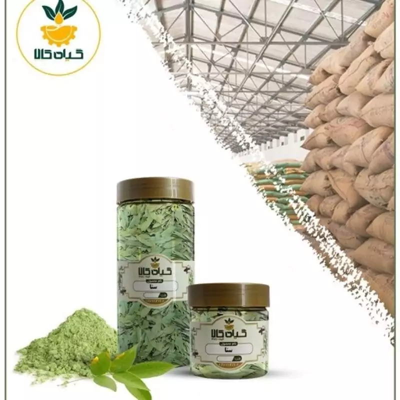 گیاه سنا هندی با کیفیت عالی، بار امسالی و تازه(100گرمی)
