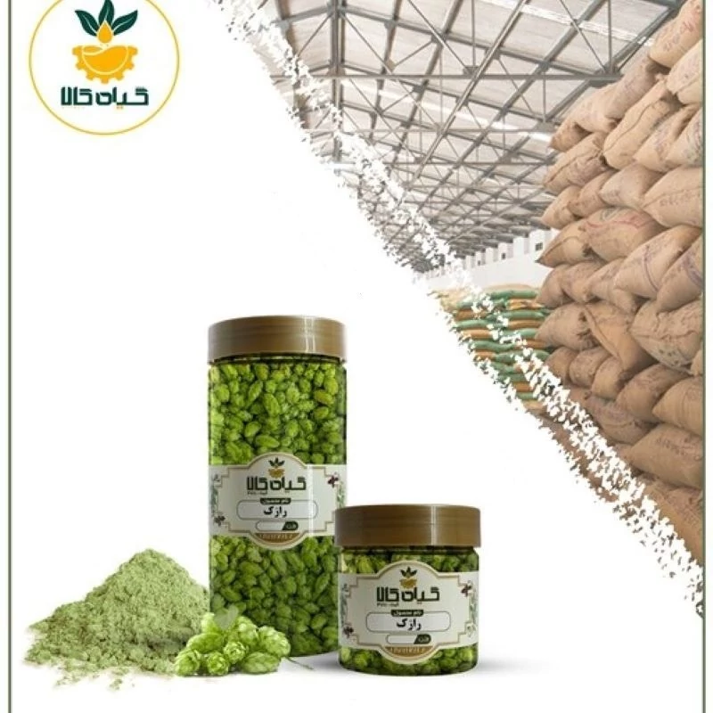 گیاه رازک با کیفیت عالی، بار امسالی و تازه(2کیلوگرم)