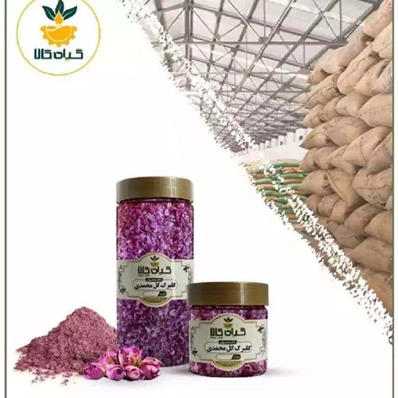 گل محمدی پودر شده با کیفیت ممتاز 500 گرمی