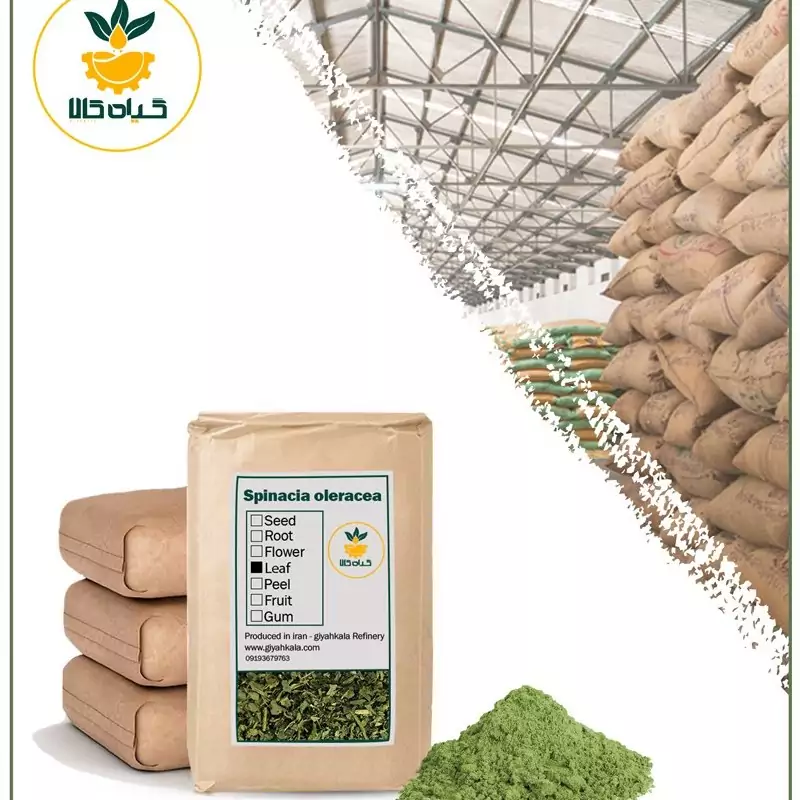 پودر اسفناج فله،بار امسالی و تازه(2 کیلوگرم)