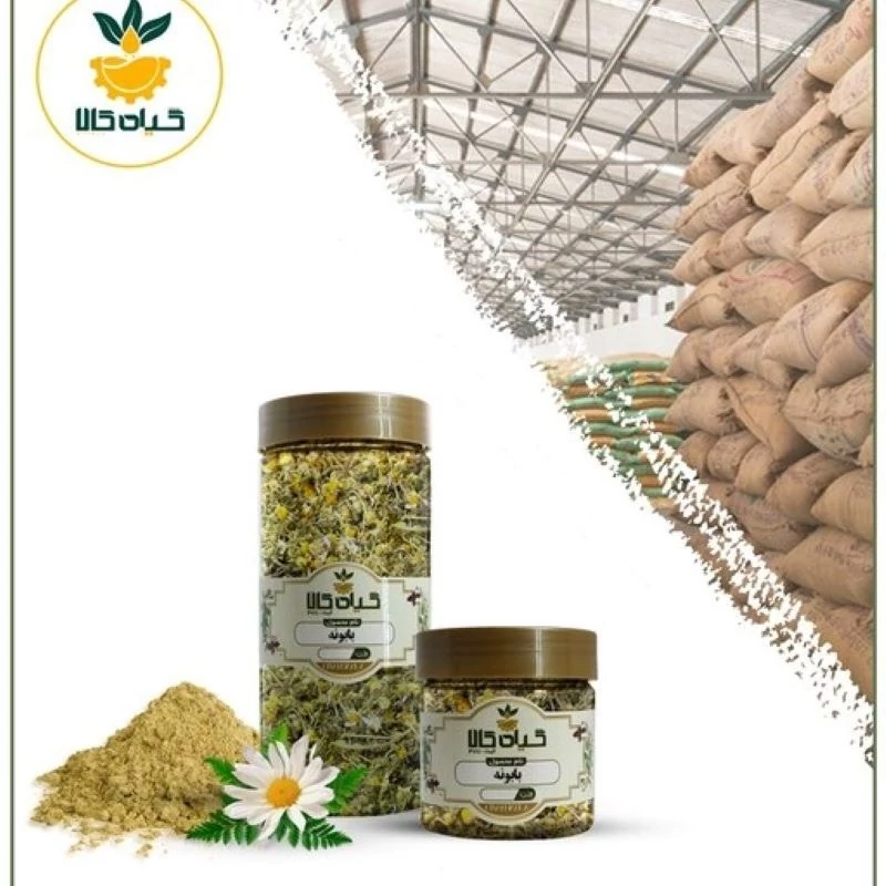 گل بابونه با کیفیت عالی، بار امسالی و تازه(150گرمی)