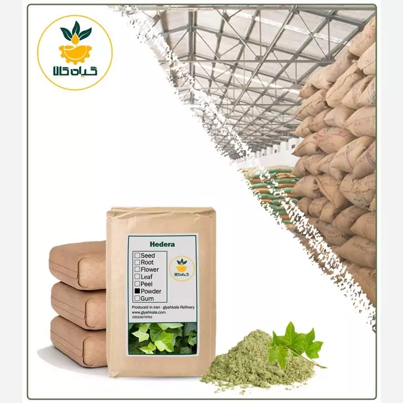 پودر عشـقه با کیفیت عالی، بار امسالی و تازه (1کیلوگرم)