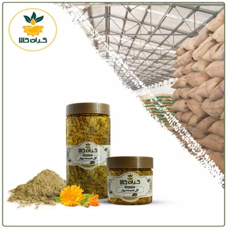 گل همیشه بهار  پودر شده با کیفیت ممتاز100 گرمی